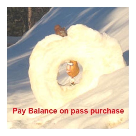 Pay Pass Balance